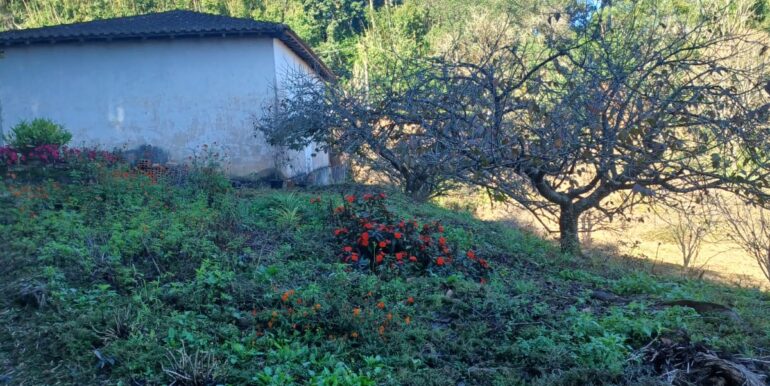 WhatsApp Image 2025-06-18 at 15.36.00 (5)