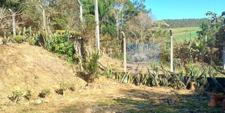 WhatsApp Image 2025-06-18 at 15.36.00