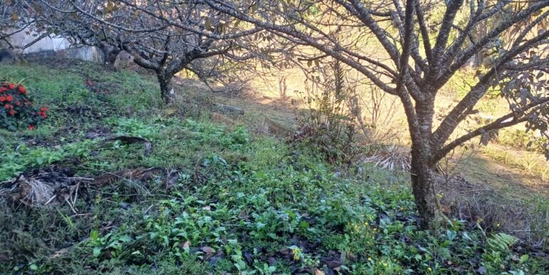 WhatsApp Image 2025-06-18 at 15.36.01