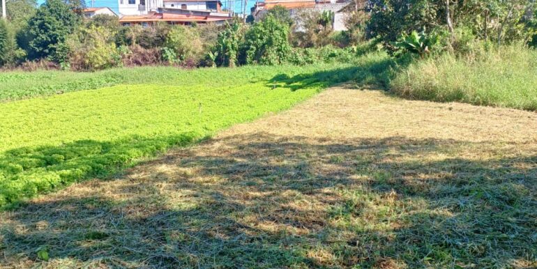 WhatsApp Image 2025-06-20 at 14.44.50 (1)