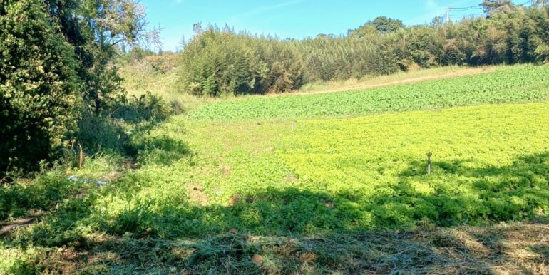 WhatsApp Image 2025-06-20 at 14.44.50 (2)