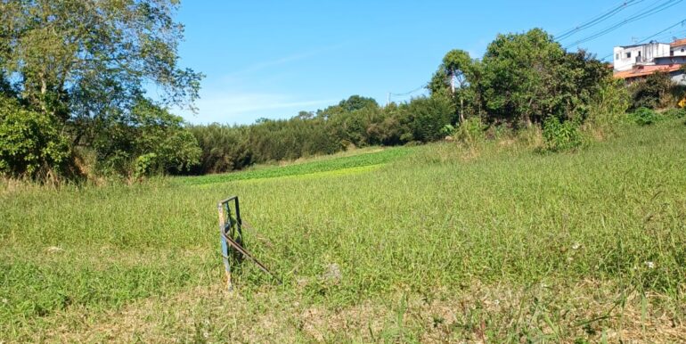 WhatsApp Image 2025-06-20 at 14.44.50