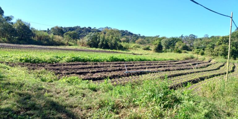 WhatsApp Image 2025-06-20 at 14.44.51 (1)