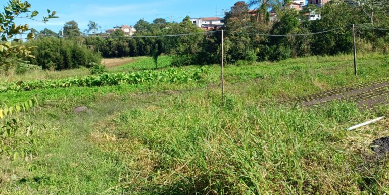 WhatsApp Image 2025-06-20 at 14.44.51 (2)