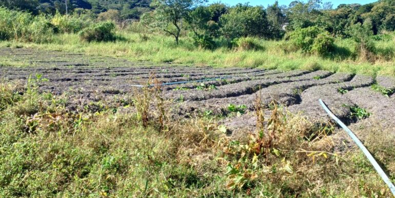 WhatsApp Image 2025-06-20 at 14.44.51 (3)