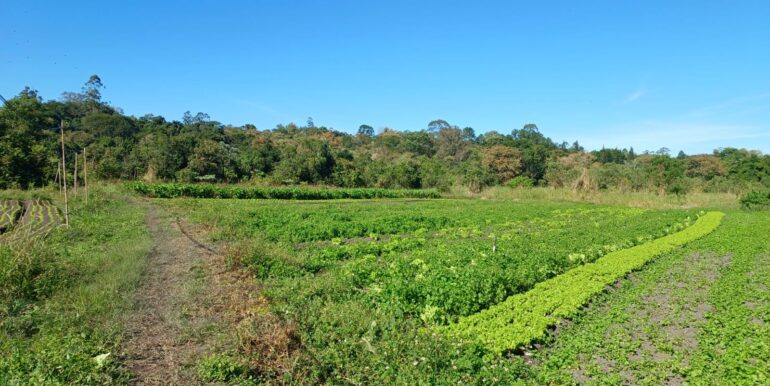 WhatsApp Image 2025-06-20 at 14.44.51