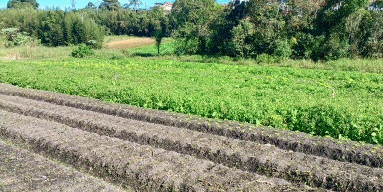 WhatsApp Image 2025-06-20 at 14.44.52 (1)