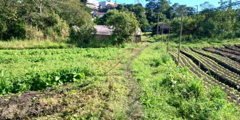 WhatsApp Image 2025-06-20 at 14.44.52 (2)