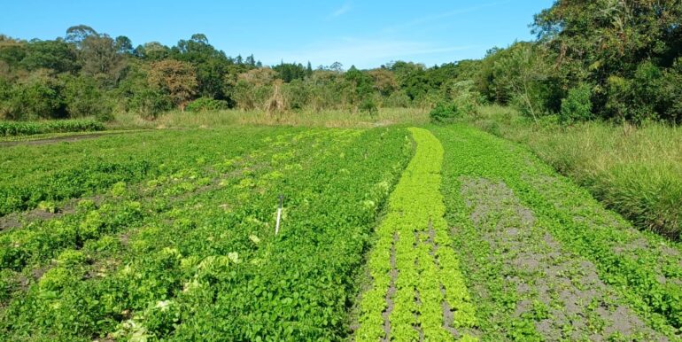 WhatsApp Image 2025-06-20 at 14.44.52 (3)