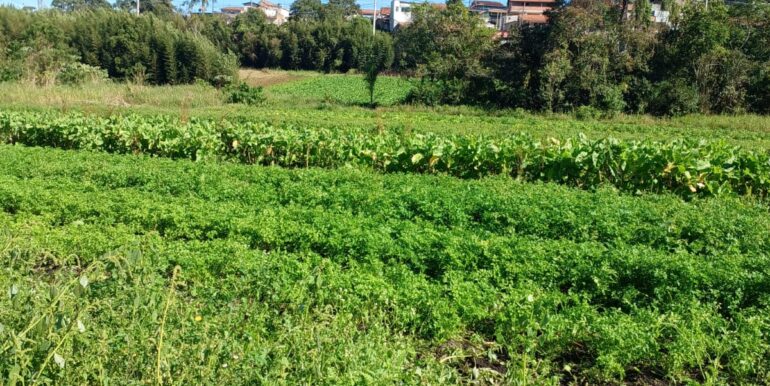 WhatsApp Image 2025-06-20 at 14.44.52 (4)