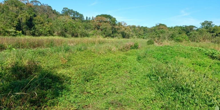 WhatsApp Image 2025-06-20 at 14.44.52 (5)