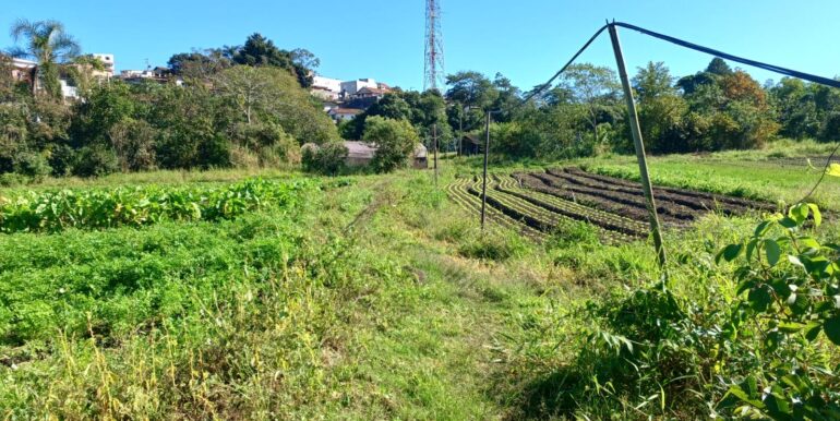 WhatsApp Image 2025-06-20 at 14.44.52