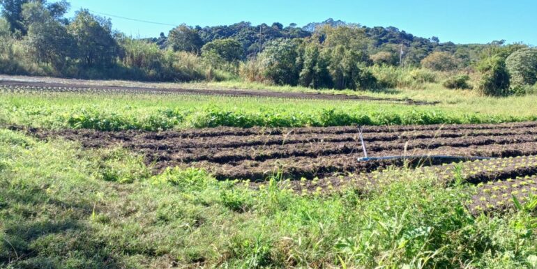 WhatsApp Image 2025-06-20 at 14.44.53 (1)