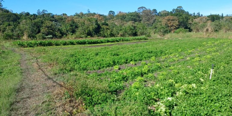 WhatsApp Image 2025-06-20 at 14.44.53