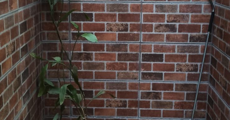 WhatsApp Image 2025-06-24 at 15.07.12 (5)