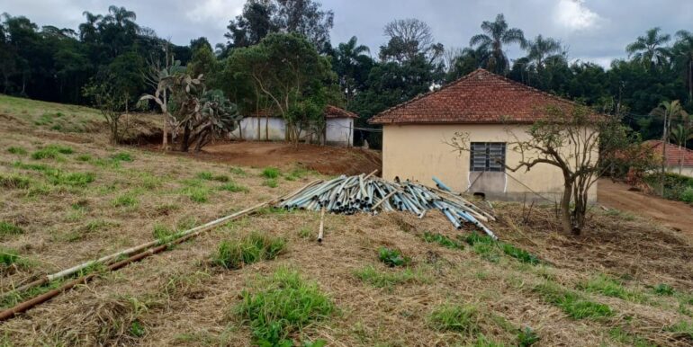 WhatsApp Image 2025-08-06 at 15.20.36