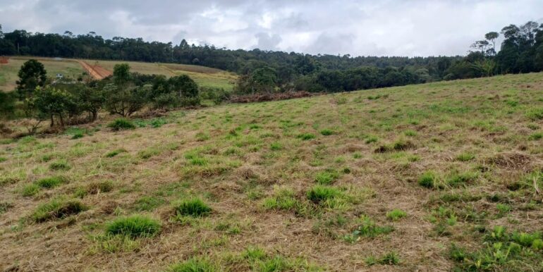 WhatsApp Image 2025-08-06 at 15.21.11 (2)