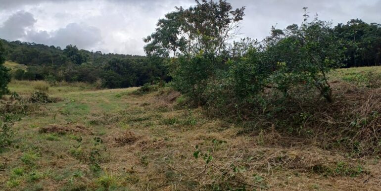 WhatsApp Image 2025-08-06 at 15.21.11 (5)