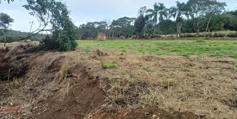 WhatsApp Image 2025-08-06 at 15.21.11