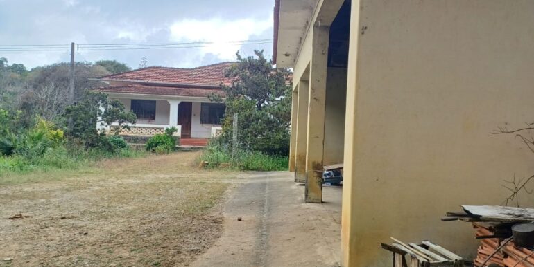 WhatsApp Image 2025-08-06 at 15.44.45 (3)