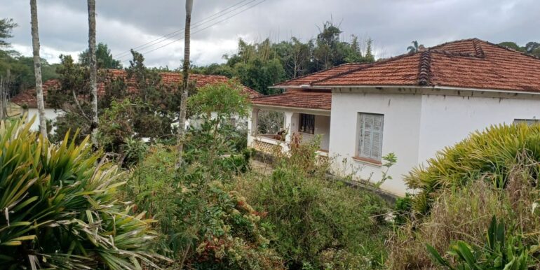 WhatsApp Image 2025-08-06 at 15.44.45 (4)