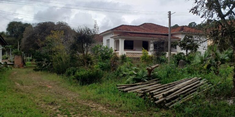 WhatsApp Image 2025-08-06 at 15.44.45