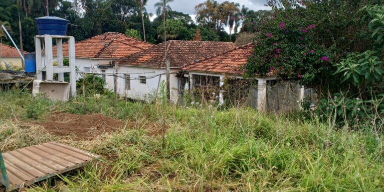 WhatsApp Image 2025-08-06 at 15.44.46 (2)