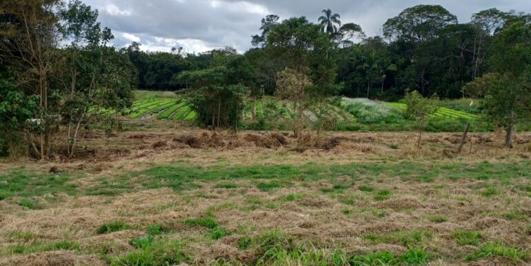 WhatsApp Image 2025-08-06 at 15.44.46 (3)