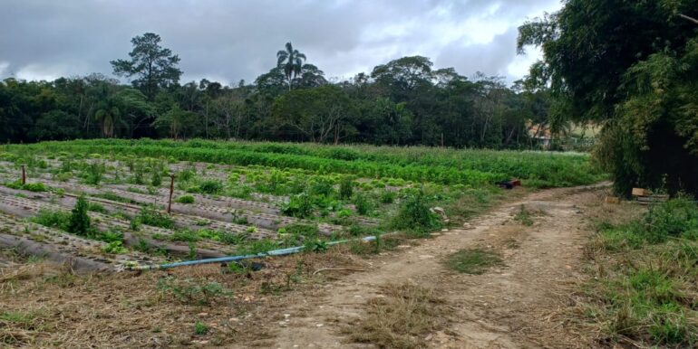 WhatsApp Image 2025-08-06 at 15.44.46 (4)