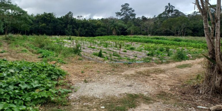 WhatsApp Image 2025-08-06 at 15.44.46 (5)