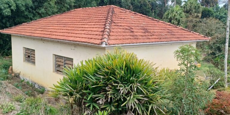 WhatsApp Image 2025-08-06 at 15.44.46