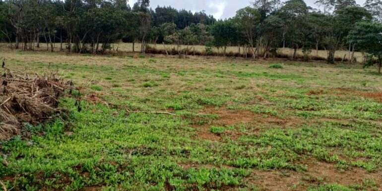 WhatsApp Image 2025-08-06 at 15.44.47