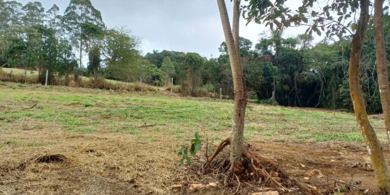 WhatsApp Image 2025-08-06 at 15.59.08 (1)