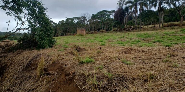 WhatsApp Image 2025-08-06 at 15.59.08 (2)