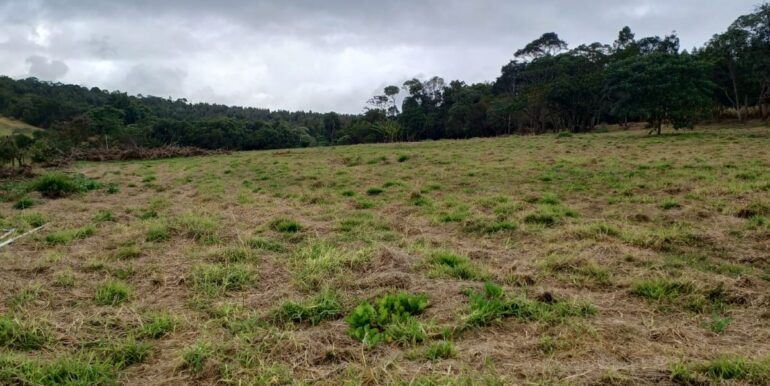 WhatsApp Image 2025-08-06 at 15.59.08 (3)