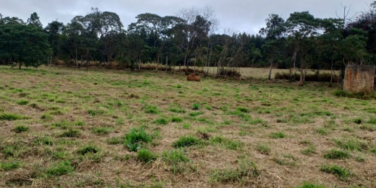 WhatsApp Image 2025-08-06 at 15.59.09