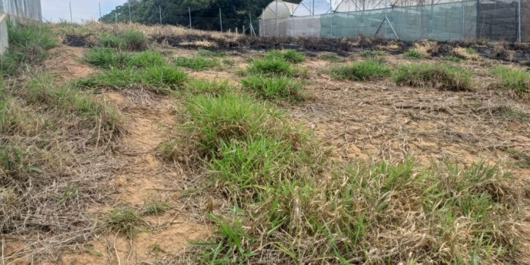 WhatsApp Image 2025-11-17 at 13.12.37 (2)