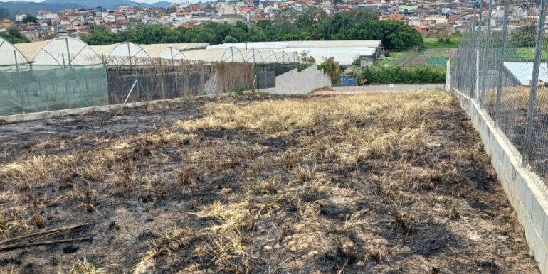 WhatsApp Image 2025-11-17 at 13.12.37 (3)