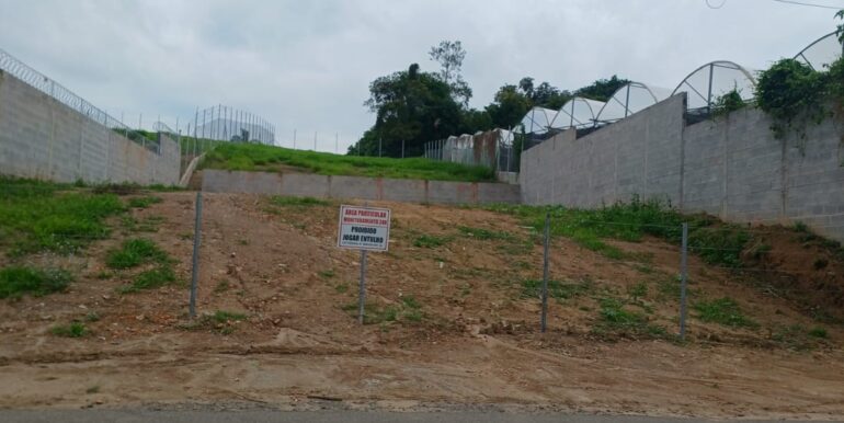 WhatsApp Image 2025-11-17 at 13.12.38