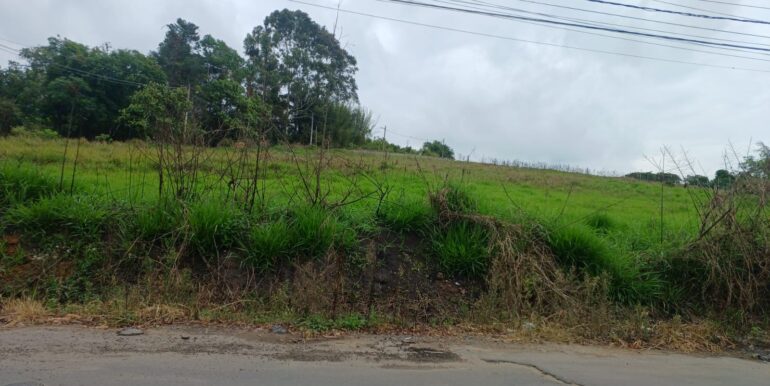 WhatsApp Image 2025-11-17 at 14.18.03 (2)