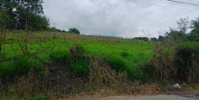 WhatsApp Image 2025-11-17 at 14.18.03 (3)