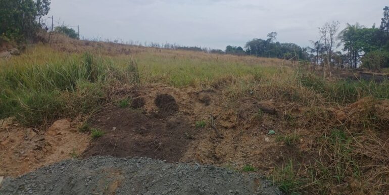 WhatsApp Image 2025-11-17 at 14.18.03