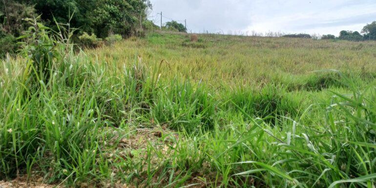 WhatsApp Image 2025-11-17 at 14.18.04 (1)