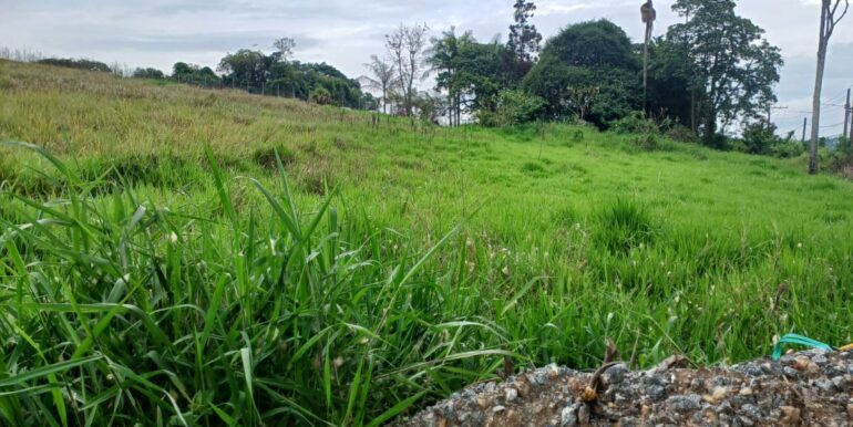 WhatsApp Image 2025-11-17 at 14.18.04