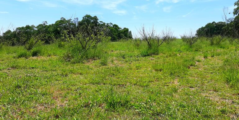 WhatsApp Image 2026-01-26 at 10.09.31 (1)