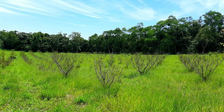 WhatsApp Image 2026-01-26 at 10.09.31 (2)