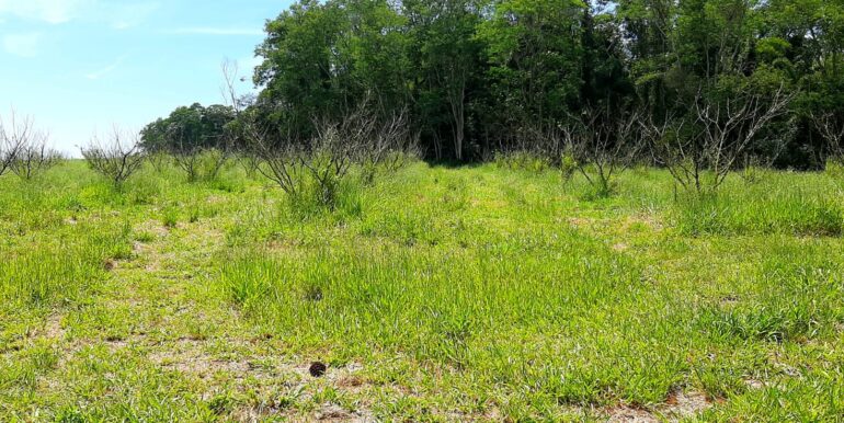 WhatsApp Image 2026-01-26 at 10.09.32 (1)