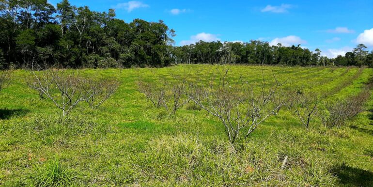 WhatsApp Image 2026-01-26 at 10.09.32