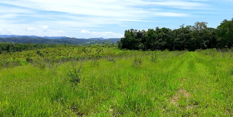 WhatsApp Image 2026-01-26 at 10.09.33 (1)