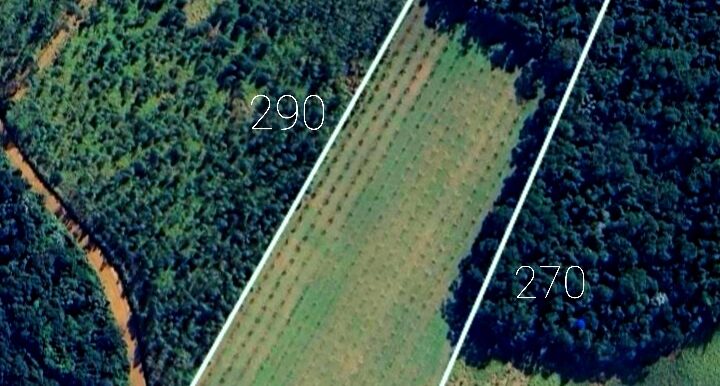 WhatsApp Image 2026-01-26 at 10.09.33 (2)